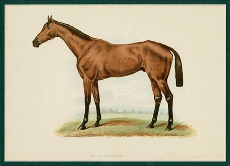 1890 Matted Antique Horse Print Original от Antiqueprintboutique