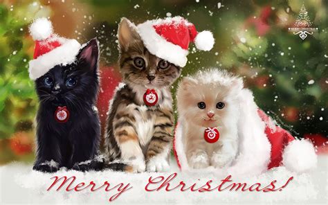 Christmas Cats Wallpaper