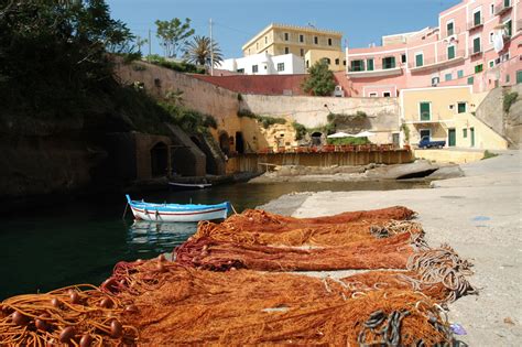 We did not find results for: L'isola di Ventotene fra terra e mare | ConTatto