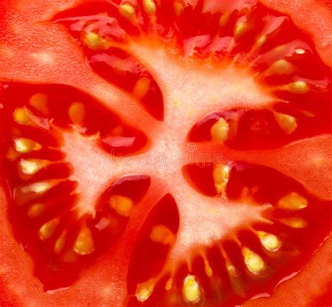 Slice Of Tomato Stock Photo Image Of Fresh Chop Healthy 35181042