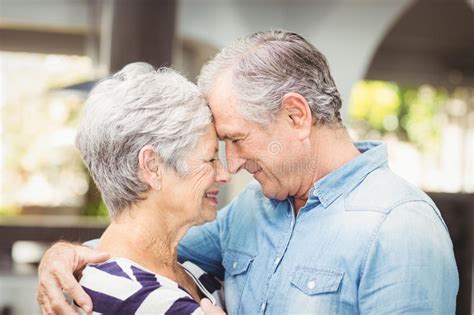Close Up Of Romantic Senior Husband Embracing Wife Stock Image Image