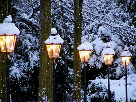 Beautiful Snow Falling Pictures~~ Virtual University