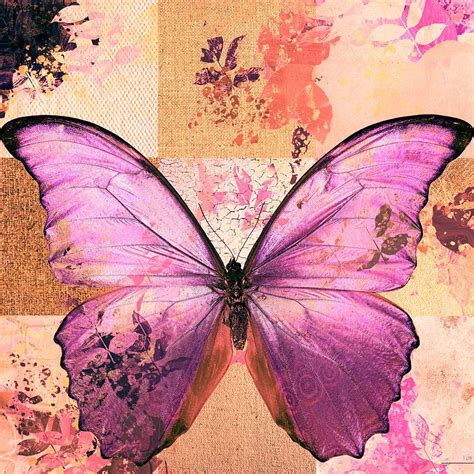 Butterfly Art Sr51a Digital Art By Variance Collections Fine Art