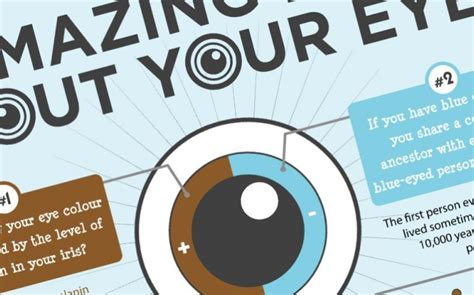 7 Amazing Eye Facts Lenstore