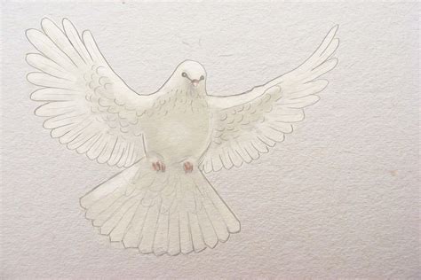 Mark off the width and height of the picture. How to Draw a Dove Flying Bird Peace (Easy Step by Step)