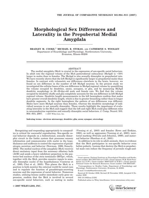 Pdf Morphological Sex Differences And Laterality In The Prepubertal