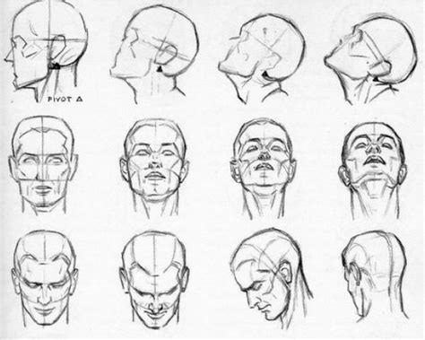 Simple Sketches Of Heads Looking In Several Tilt Directions ©zolge1