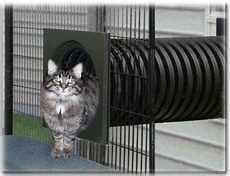 It's not the prettiest design decision to have a chicken wired cat enclosure in your back yard and i'm sure a lot of my neighbors thought that i had i started with the small enclosure around the living room window. Japanese Woodworking Tools | Cat enclosure, Cat cages ...