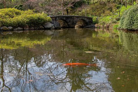 Maymont Japanese Gardens Photograph By Jean Haynes Fine Art America