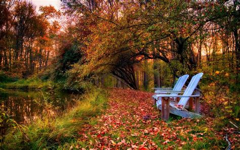 Осенний Парк Фото Пейзажи Telegraph