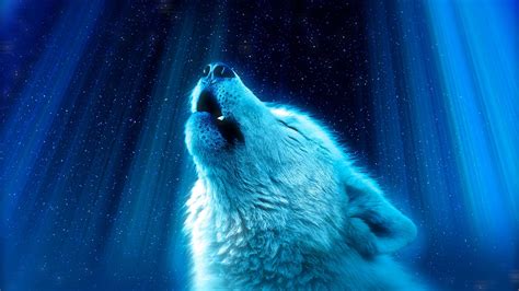 Download Cool Starry Galaxy Night Howling Wolf Wallpaper