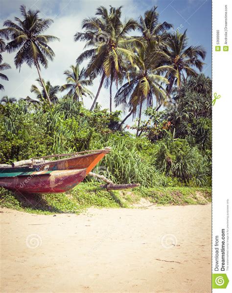 Fishing Boat On A Tropical Beach With Palm Trees In The Background