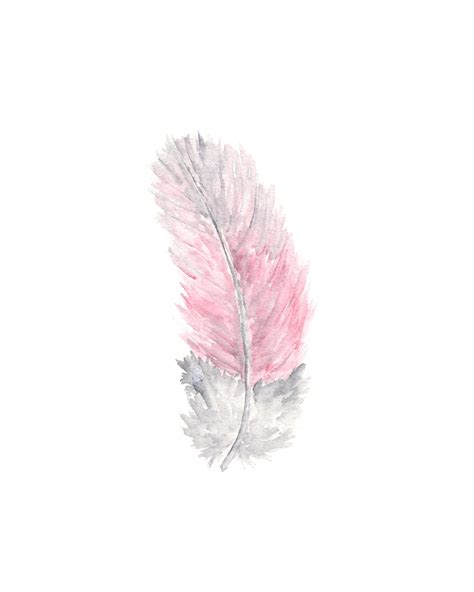 Nature Feather Painting Watercolor Feathers Watercolor Art