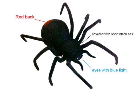Radio Control Giant Black Widow Spider Toy