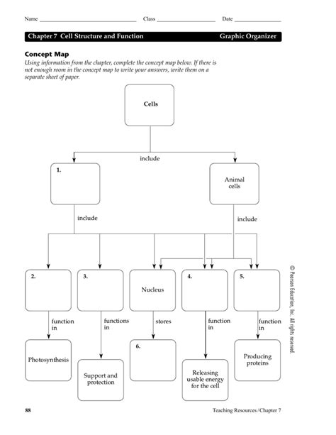 Cell Structure And Function Concept Map Map Vector