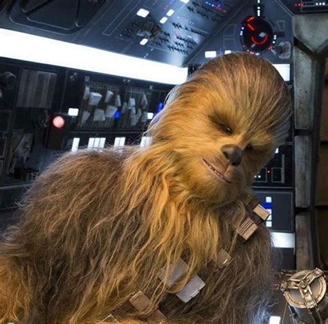 Meet Chewbaccas Double From Star Wars The Force Awakens 4 Pics