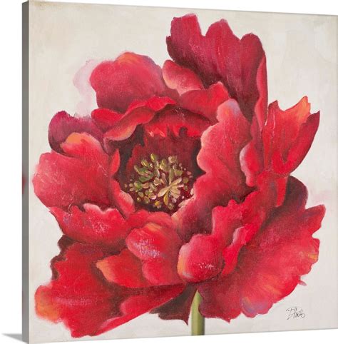 Red Peony Wall Art Canvas Prints Framed Prints Wall Peels Great