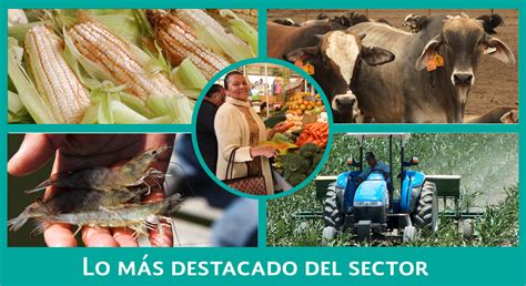 Ltimas Noticias Del Sector Agroalimentario Secretar A De Agricultura Y Desarrollo Rural