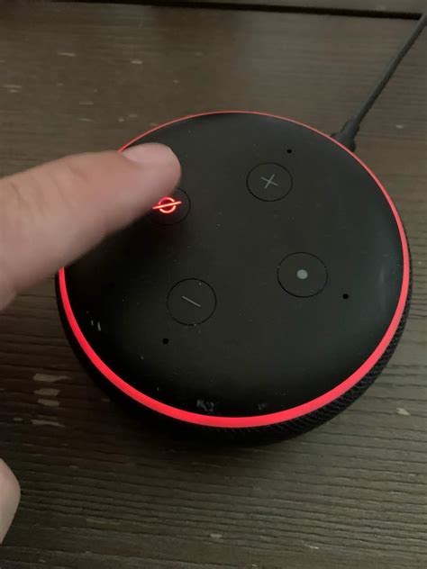 Echo Dot Stuck On Red Ring Woods Trie1960