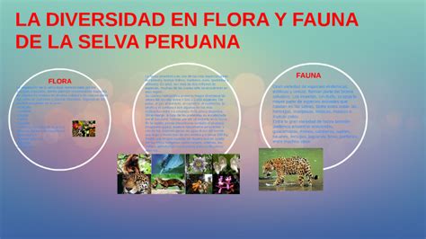 Flora Y Fauna De La Selva Peruana Y Sus Caracteristicas Resumen E Images