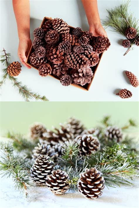 Give your kids hours of engaging, hands on playtime with this tabletop dinosaur fossil dig. Centerpiece Pine Cone Table Decorations - Things Decor Ideas