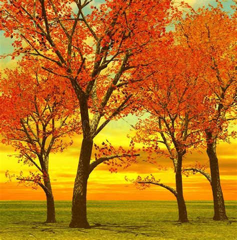 Beautiful Autumn Trees Stock Illustration Illustration Of Light 8044616