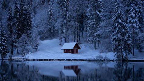 Download Wallpaper 1366x768 Lake Forest Snow Winter