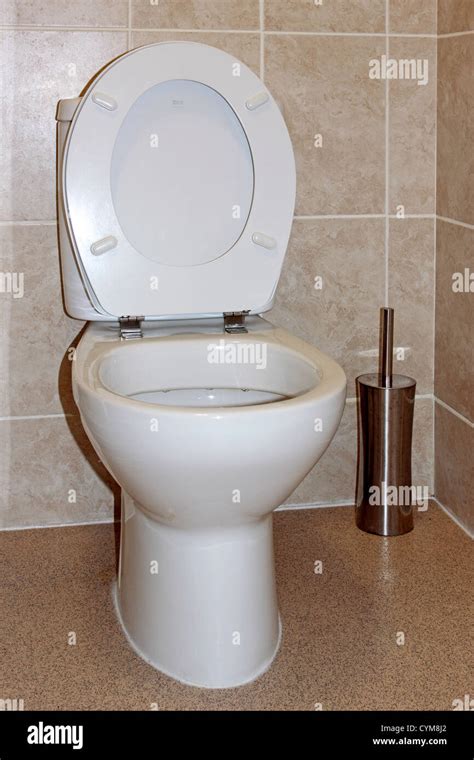 Learn About Imagen Toilet Seat Up In Thptnganamst Edu Vn