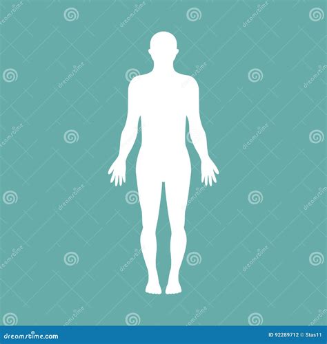 Male Human Body Silhouette With Shadow Vector Illustration Stock