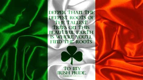 Pride Of The Irish Irish Irish Pride Irish Roots