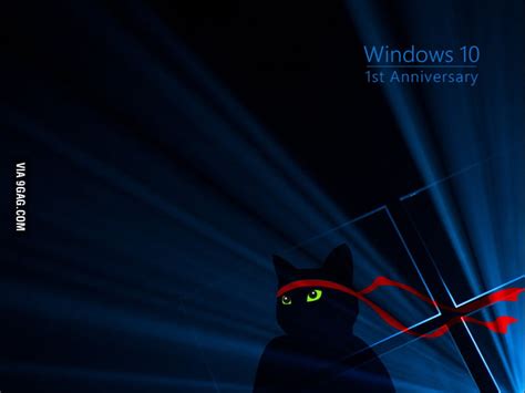 Anyone Got The Exclusive Windows 10 1st Anniversary Wallpaper 9gag