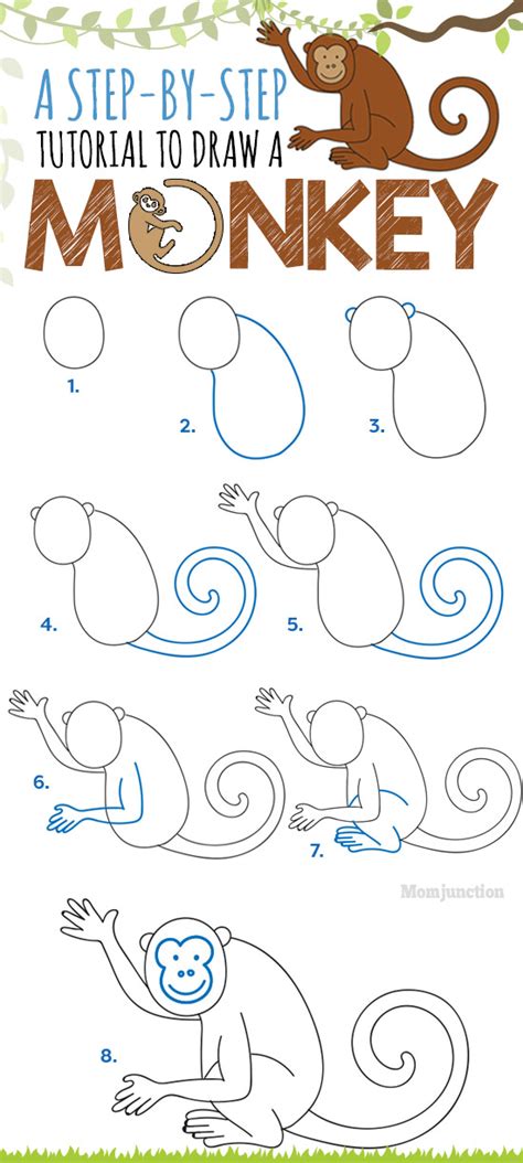 How To Draw A Monkey A Step By Step Tutorial