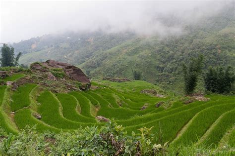 Sapa Travel: 6 Tips For Visiting Vietnam's Northern Hill Station ...