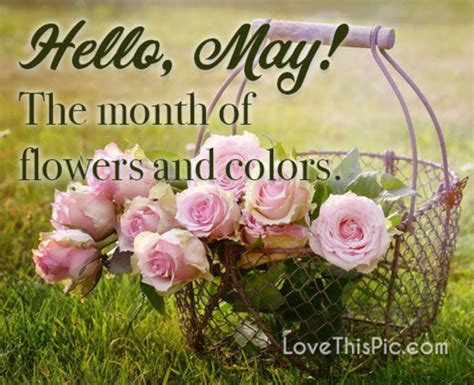 10 Hello May Messages Quotes And Greetings