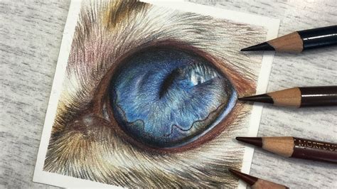 Learn To Draw A Cats Eye In Colored Pencil Real Time Tutorial Youtube