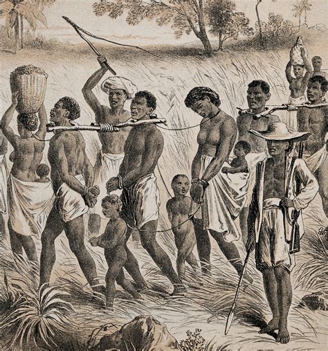 500 Jaar Geleden Begon De Slavenhandel Tussen Afrika En Amerika Een