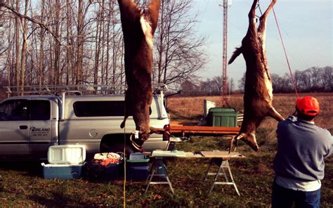 A Guide To Butchering Your Own Whitetail Deer This Season