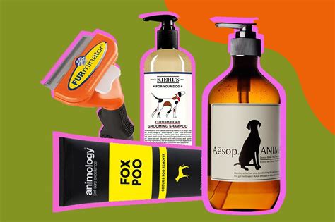 Louise McSharry: Pamper your pup with my top picks for perfectly
