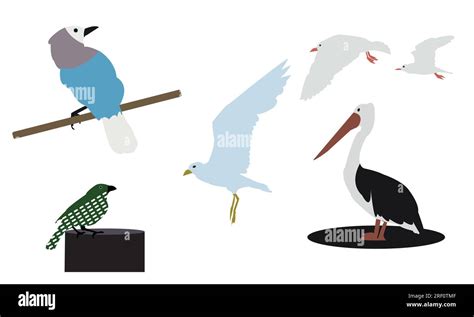 Flying Birds Vector Collection Stock Vector Image And Art Alamy