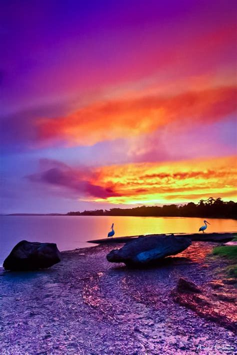 1250 Best Sunsets Over Water Mainly Images On Pinterest