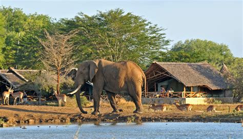 Kenya - The Hottest Destination for 2016 | Bench Africa