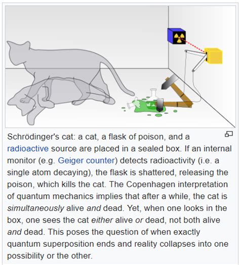 Schrodingers Cat Experiment Quantum Physics Lady