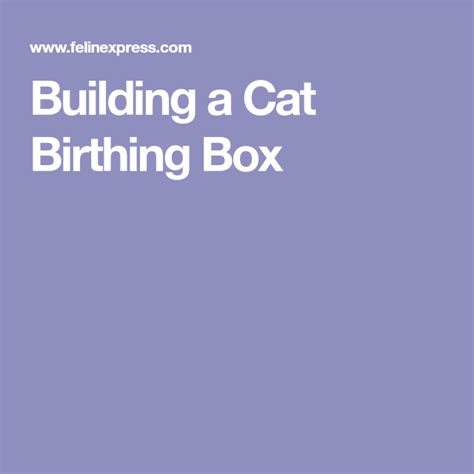 Building A Cat Birthing Box Cat Birthing Box Cats Cat Nesting Box