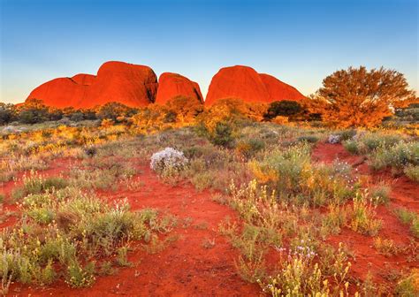 The Top 10 National Parks In Australia