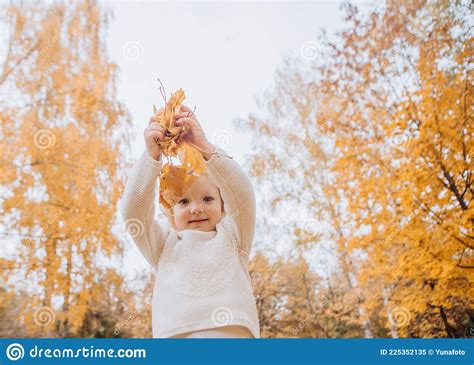 Happy Children Play Autumn Park Up Fallen Stock Image Image Of Girl