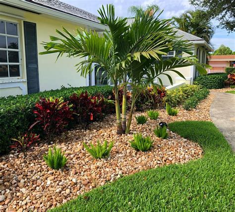 11 Low Maintenance Palm Trees That Youll Love Garden Tabs Palm
