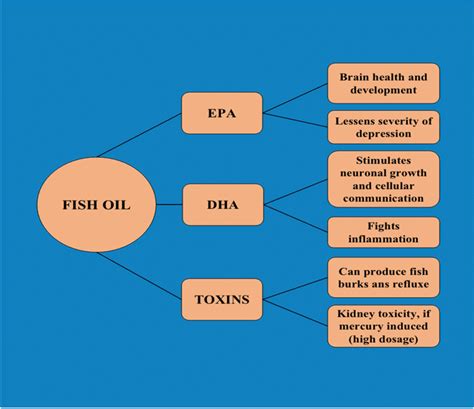 Pros And Cons Of Fish Oil In Diet Download Scientific Diagram