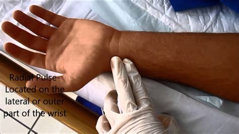 Locating Pulse Brachial Radial Ulnar Pulse Page 1 Of 3 Youtube