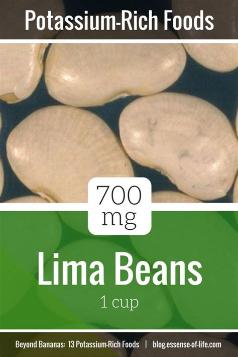 lima beans 700 mg potassium the essense of life essential health blog potassium rich foods