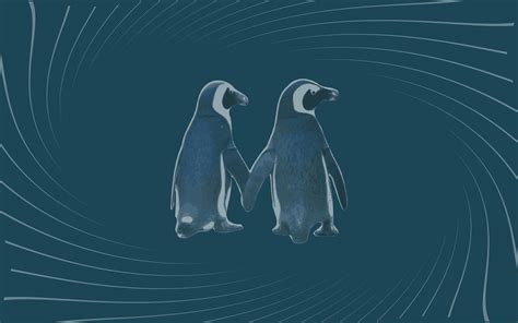 Penguins In Love Swirl Version Open Clip Art Penguin Co Flickr